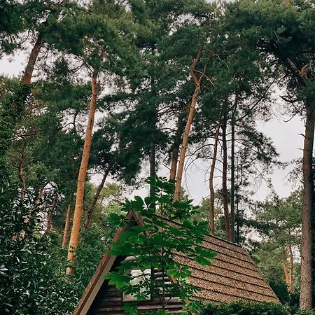 Casa vacanze Mimi's Natuurhuisje *