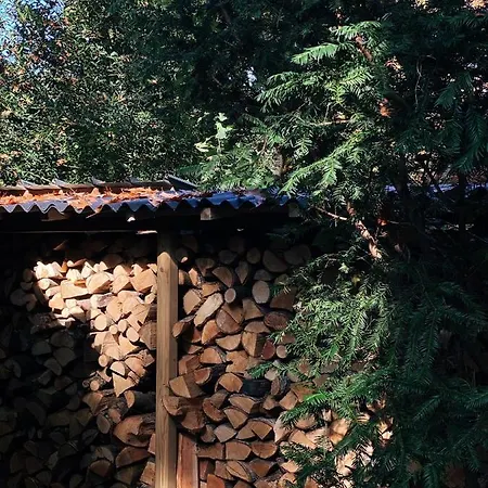 Mimi's Natuurhuisje Casa vacanze *
